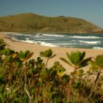 Praia em Garopaba